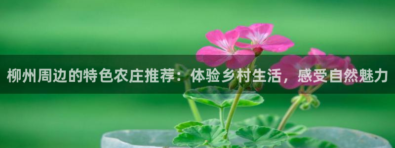 天辰娱乐44616