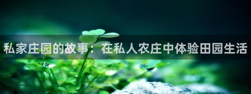 天辰娱乐 天辰平台