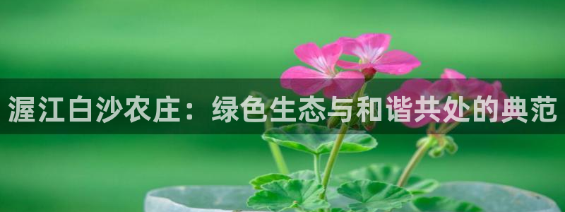 北京天辰娱乐