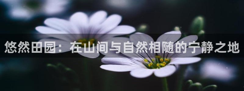天辰娱乐海洋