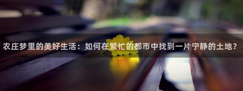 天辰娱乐 主管