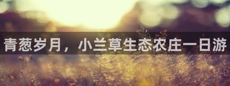 天辰团队贝高娱乐