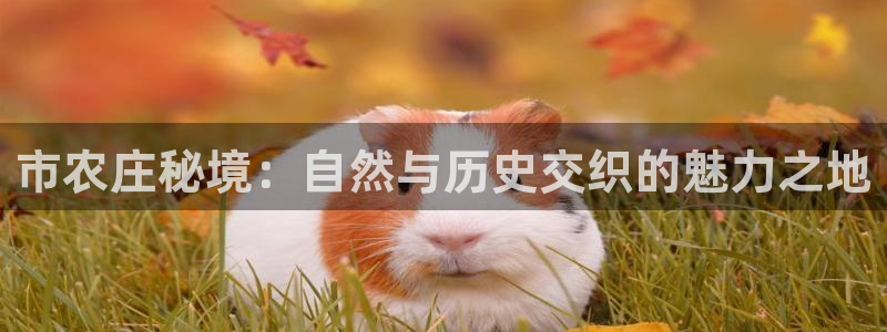 天辰娱乐7天22650