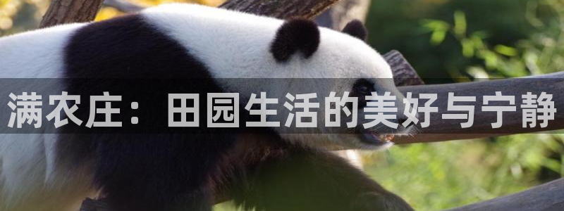 天辰娱乐7天22650