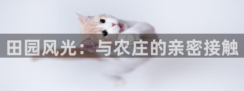 天辰娱乐平台地址