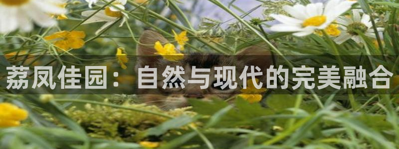 天辰娱乐平台娱乐注册