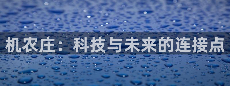 天辰娱乐平台地址在哪里