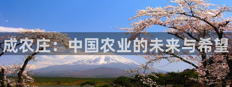 天辰娱乐平台登录账号