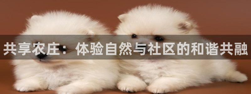 天辰 娱乐 注册