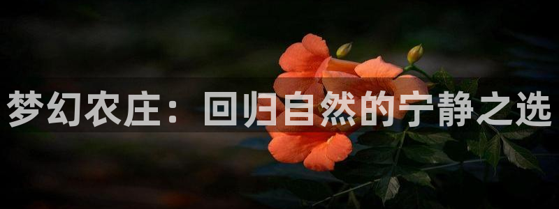 天辰娱乐下载地址