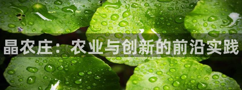 天辰娱乐娱乐注册