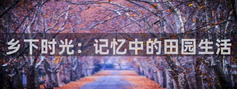 天辰娱乐游戏平台怎么样