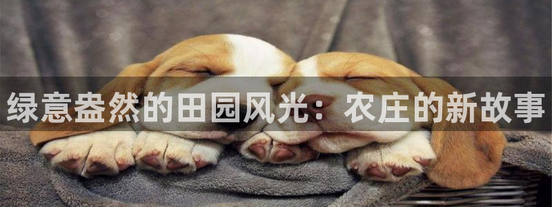 天辰彩票娱乐