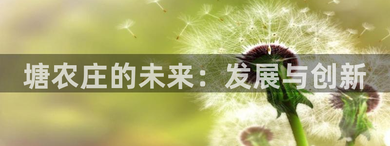天辰娱乐赌博