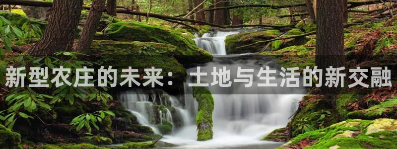 天辰娱乐白屏
