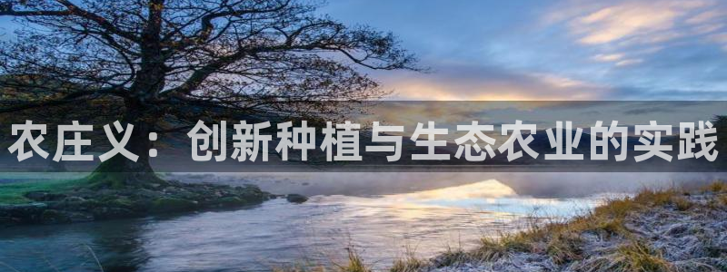 天辰娱乐鱼刺