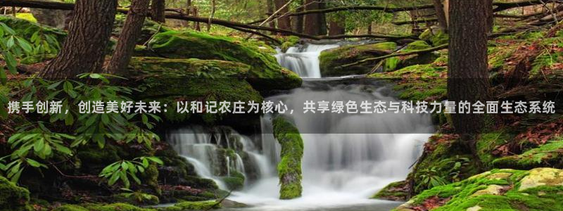 天辰娱乐 qq