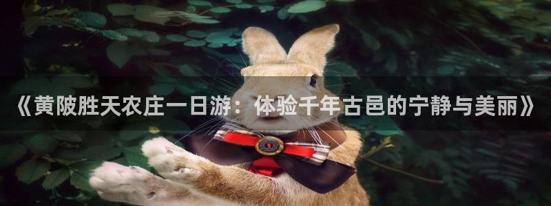 天辰娱乐连接