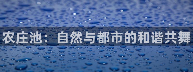 天辰娱乐平台入口