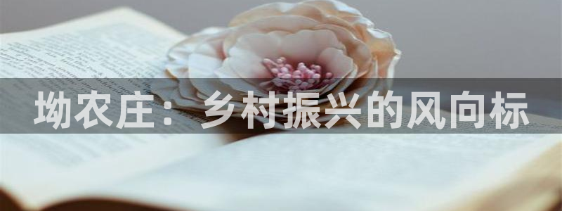 天辰娱乐 qq