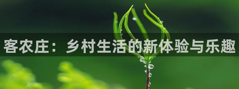 天富娱乐与天辰娱乐