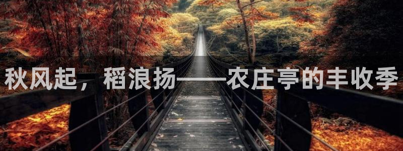 天辰团队贝高娱乐