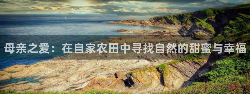 天辰团队贝高娱乐