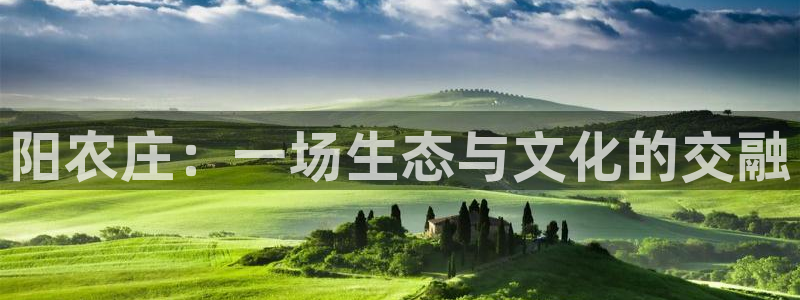 天辰娱乐平台app下载