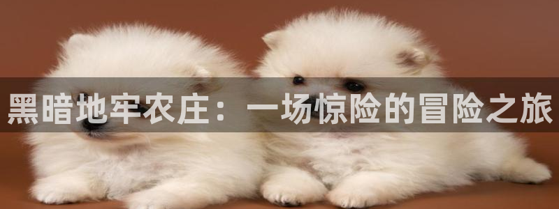 天辰娱乐39974神