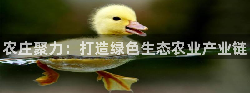 哈尔滨天辰娱乐