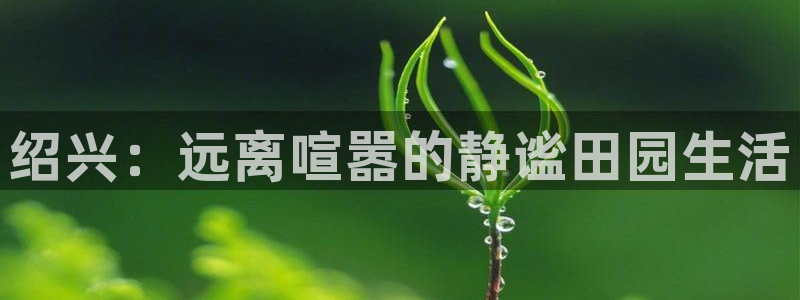 天辰娱乐39974神