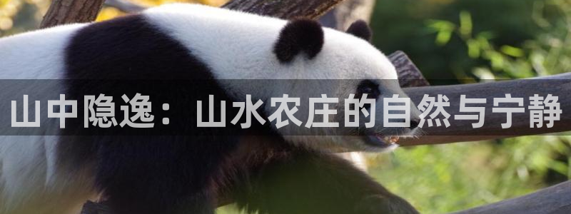 天辰娱乐平台注册