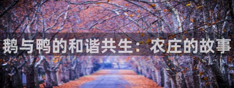 天辰娱乐天辰宝