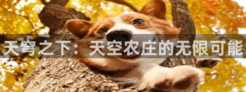 天辰娱乐怎么样