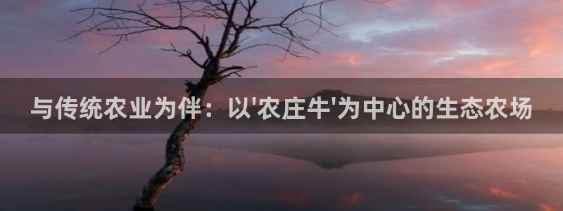 天辰娱乐游戏平台怎么样