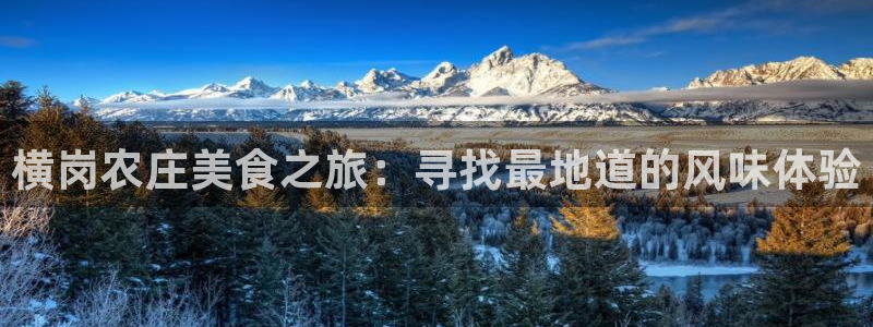 天辰团队贝高娱乐