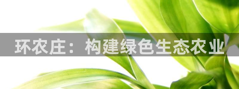 天辰娱乐 231639