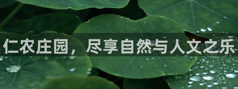 天辰娱乐娱乐