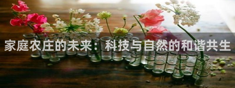 天辰娱乐新
