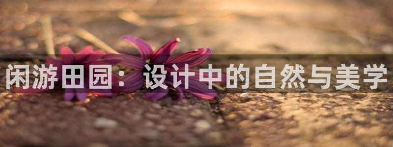 天辰娱乐新