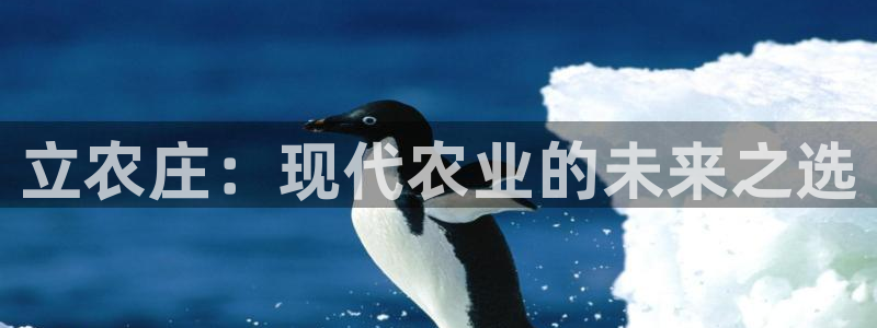 天辰娱乐娱乐平台