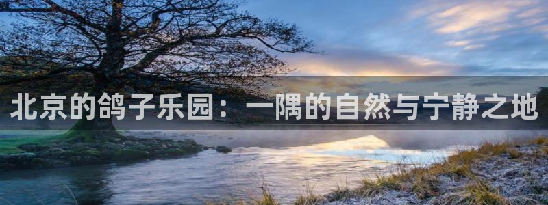菲律宾天辰娱乐