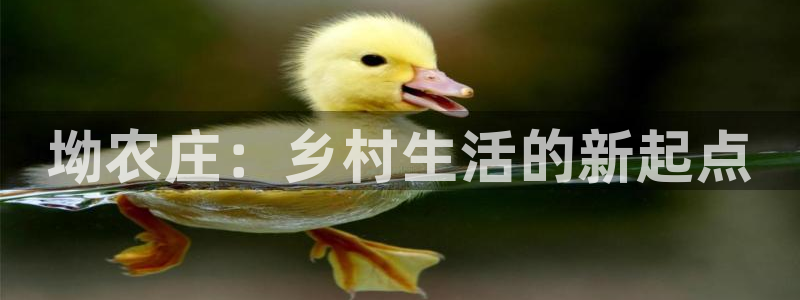 天辰娱乐官方登录下载