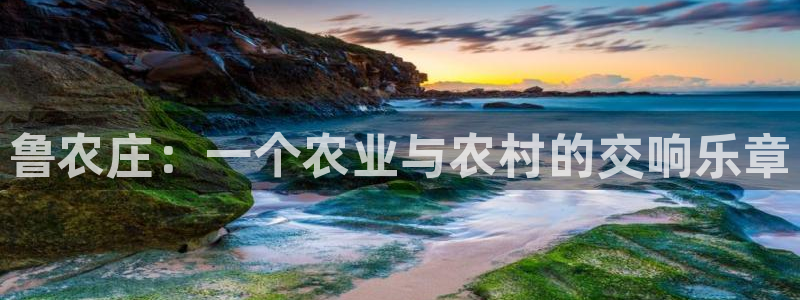 天辰娱乐平台登录账号