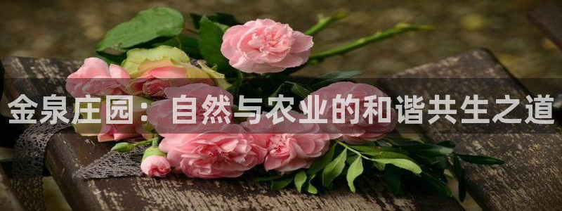 天辰娱乐平台app下载