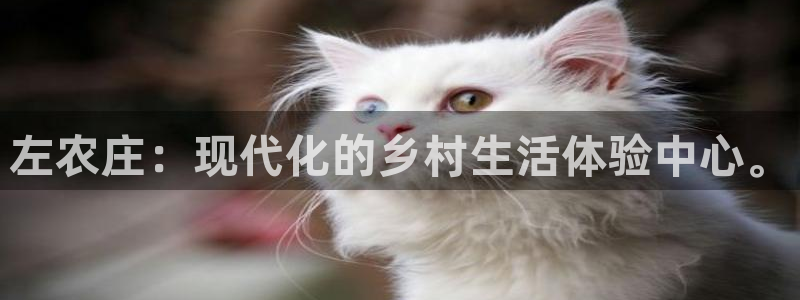 天辰娱乐平台地址在哪里