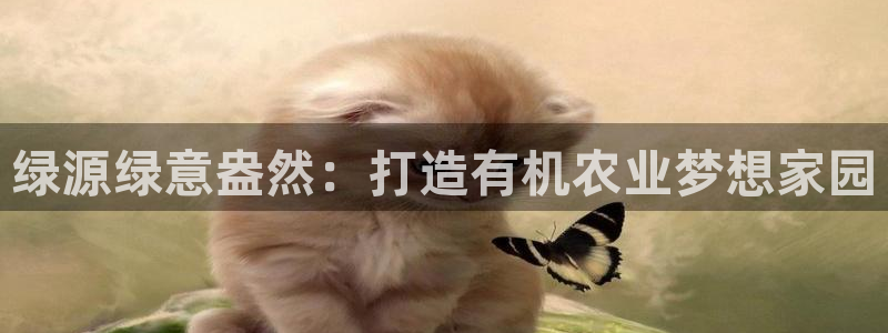 天辰辰娱乐代理