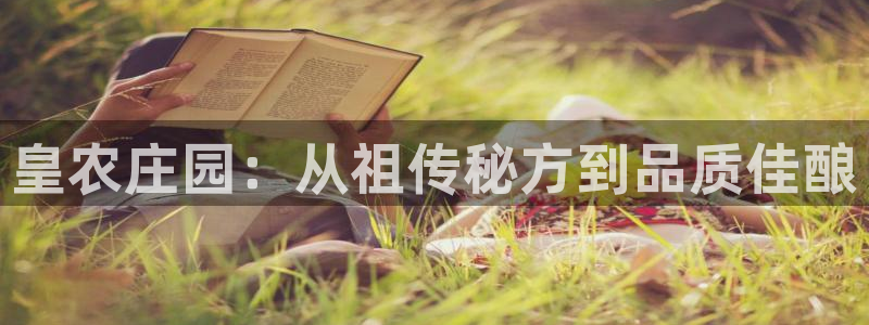 天辰辰娱乐代理