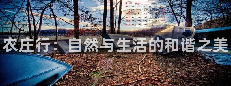 天辰娱乐7天22650