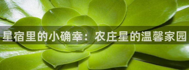 天辰娱乐平台登录账号